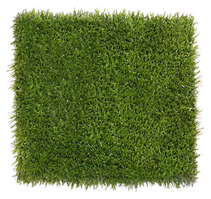 Patch ForeverLawn BocceGrass Play