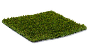 Patch ForeverLawn LandScapes Fusion Pro