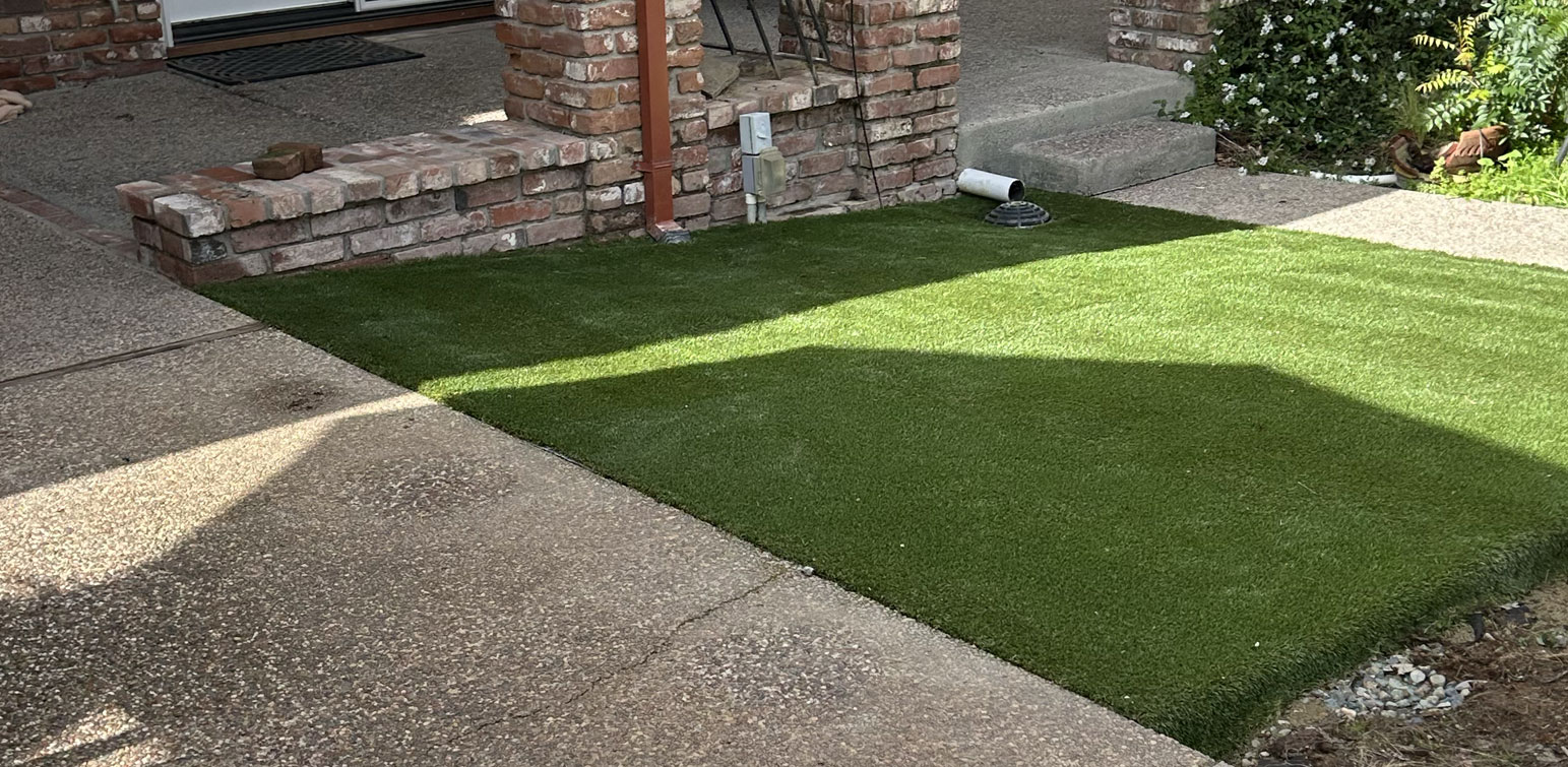 ForeverLawn Sacramento Artificial Grass Blaze Trail Back