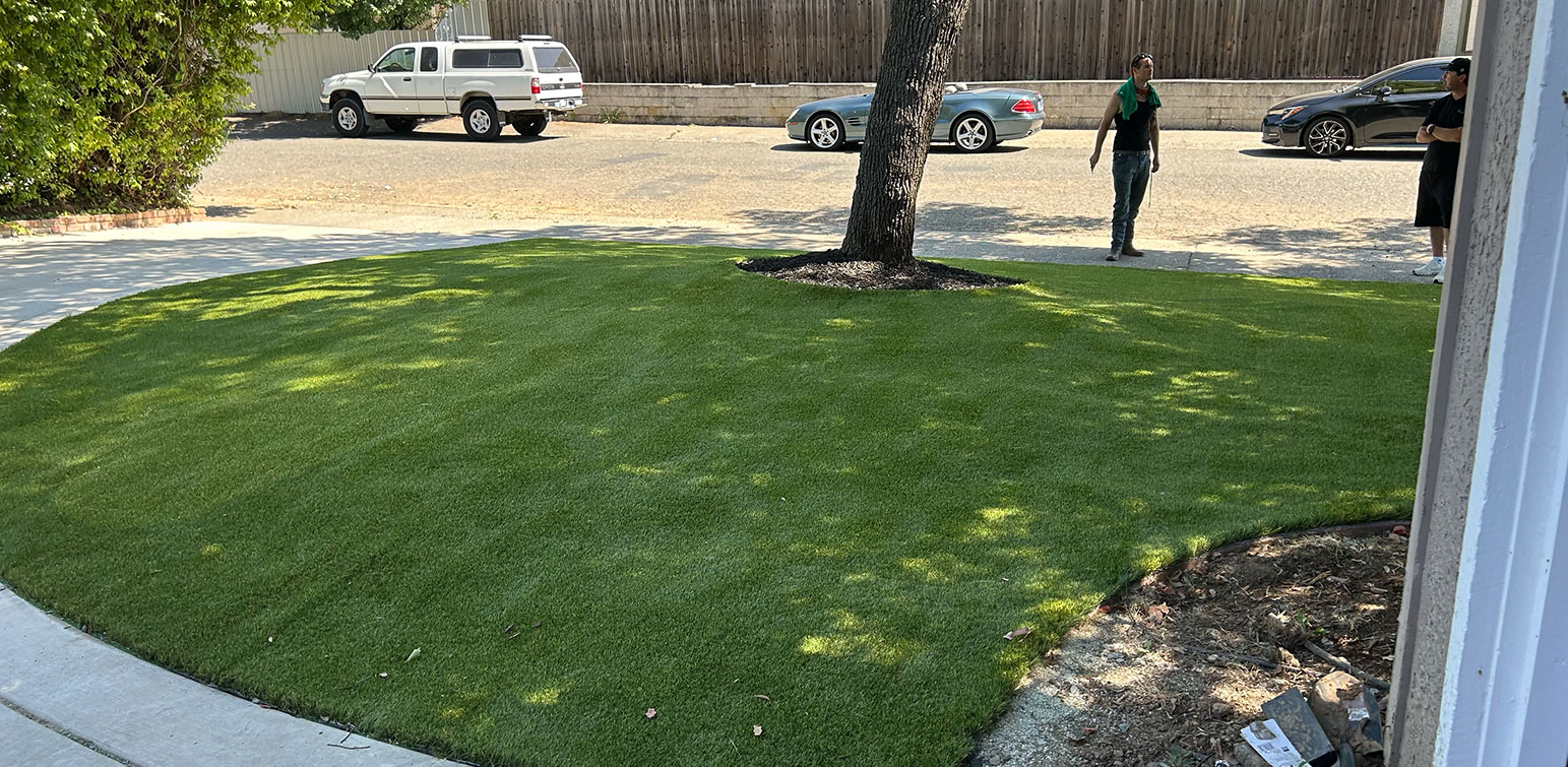 ForeverLawn Sacramento Artificial Grass Kona Front Yard