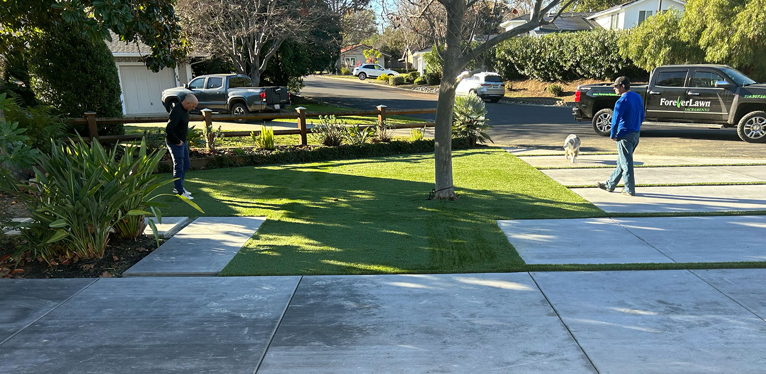 ForeverLawn Sacramento Artificial Grass Los Gatos Project