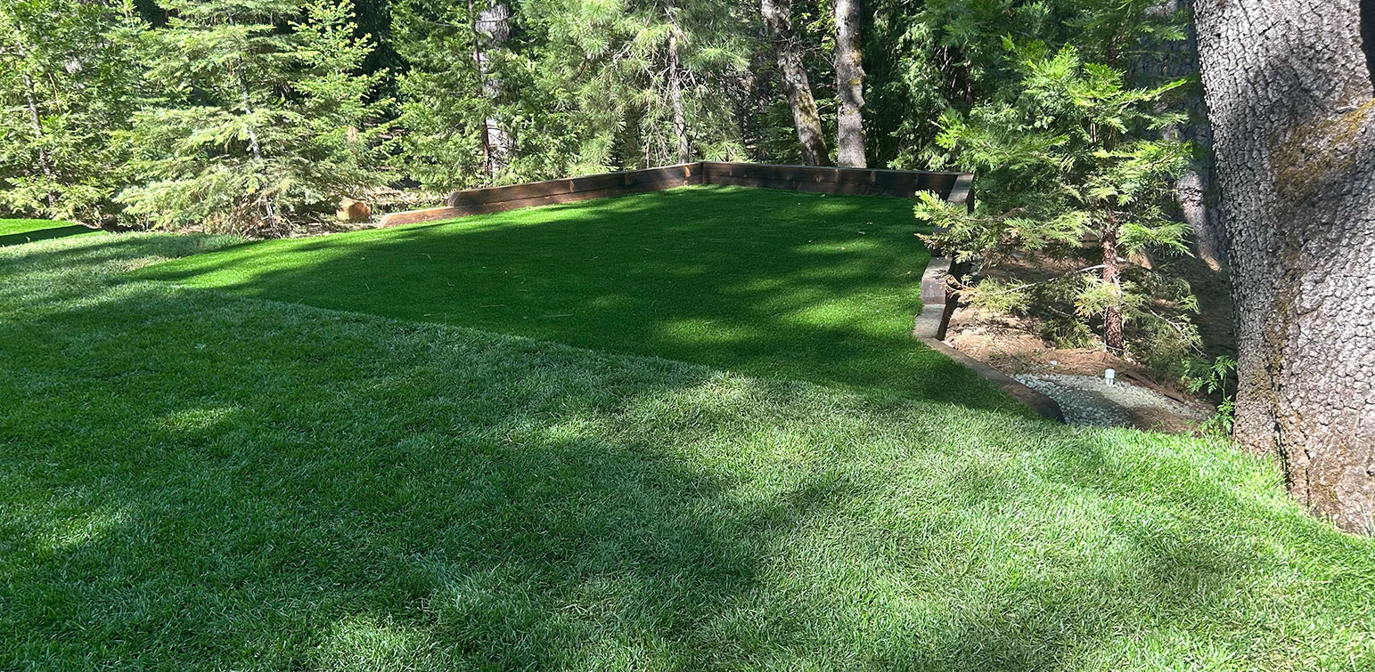 ForeverLawn Sacramento Artificial Grass NC BBQ Project
