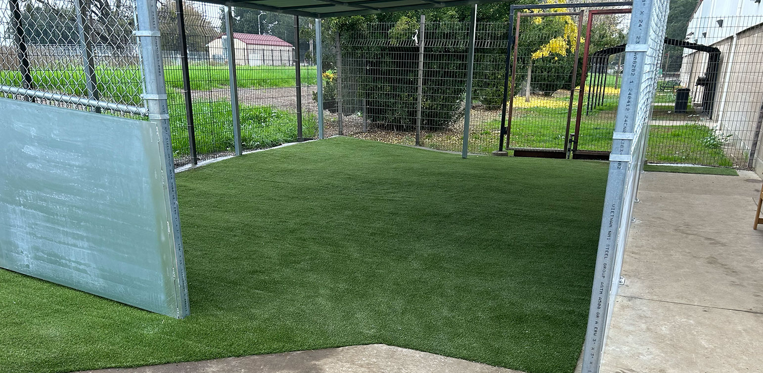 ForeverLawn Sacramento Artificial Grass UC Davis Vet Clinic Project